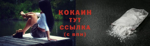 спиды Рославль