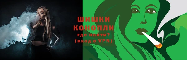 спиды Рославль