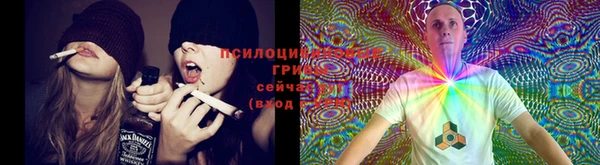 спиды Рославль