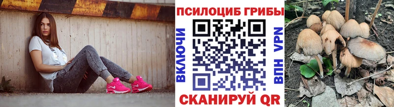 Псилоцибиновые грибы прущие грибы  Купить где  Рузаевка 